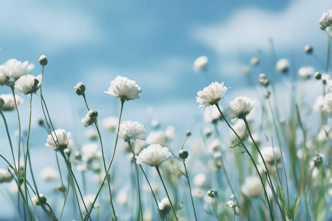 黄色い花と青空の背景｜青空の下で咲き誇る黄色い花が印象的。花の鮮やかな色合いと、やわらかな背景が生き生きとしたエネルギーを感じさせ、自然な風景美を表現している。