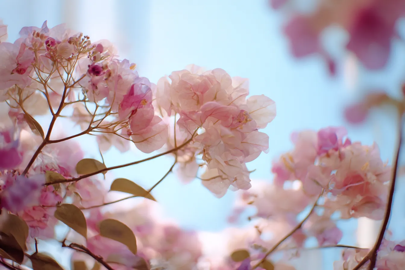 花のポートレートと柔らかい背景｜近寄って撮影された花々が、やわらかな背景と共に美しく際立っている。背景が花を引き立て、視覚的に落ち着いた雰囲気を作り出している。