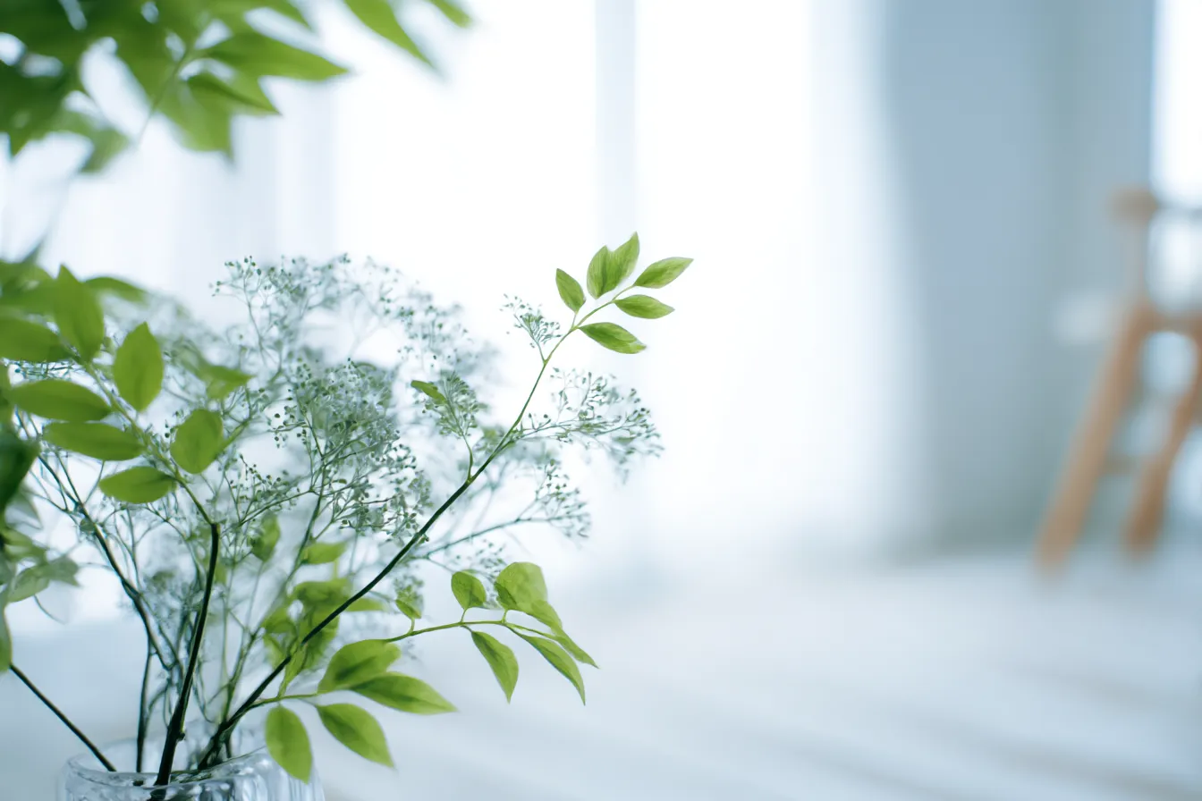 シンプル背景で植物の枝と光｜透明感のある光が差し込む部屋の中で、植物の枝が優雅に配置されているシンプルなデザイン。明るい背景が全体に軽やかさと清潔感を与え、リラックスできる空間が感じられる。「シンプル背景」を活かした自然な美しさが魅力的。