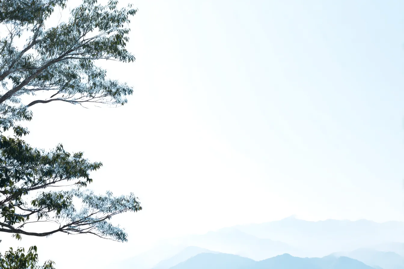 白い木と山の背景｜白色の空気感と清涼感を持つデザインで、遠くの山々を見渡しながら、風に揺れる木の葉が静かな美しさを際立たせています。広がりのある「背景」として、自然の穏やかさと静けさを感じさせる印象を与えます。