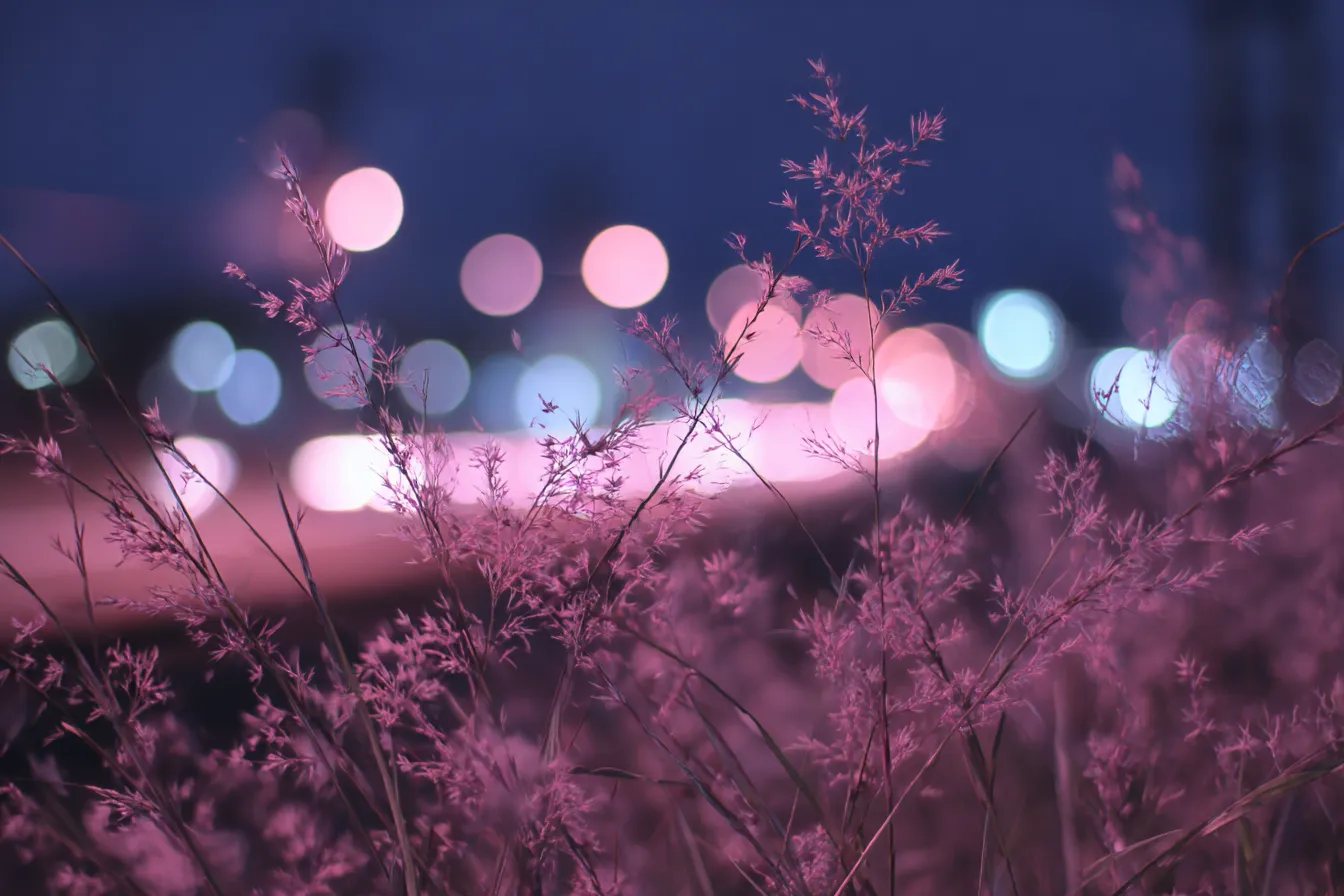 夜草とボケ光のエモい背景｜ピンクがかったススキのような植物が前景にあり、遠景にはボケた街の光がきらめく。繊細で儚げな構図が、静けさの中に切ない感情を呼び起こすエモい背景です。