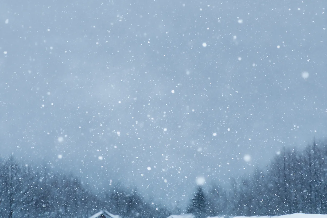 雪背景×木立と降る粉雪の景色｜奥行きのある木々を背景に、粉雪が静かに降る美しい冬の森の情景。ナチュラルで透明感のある構図が、落ち着いた韓国風背景として活用できます。