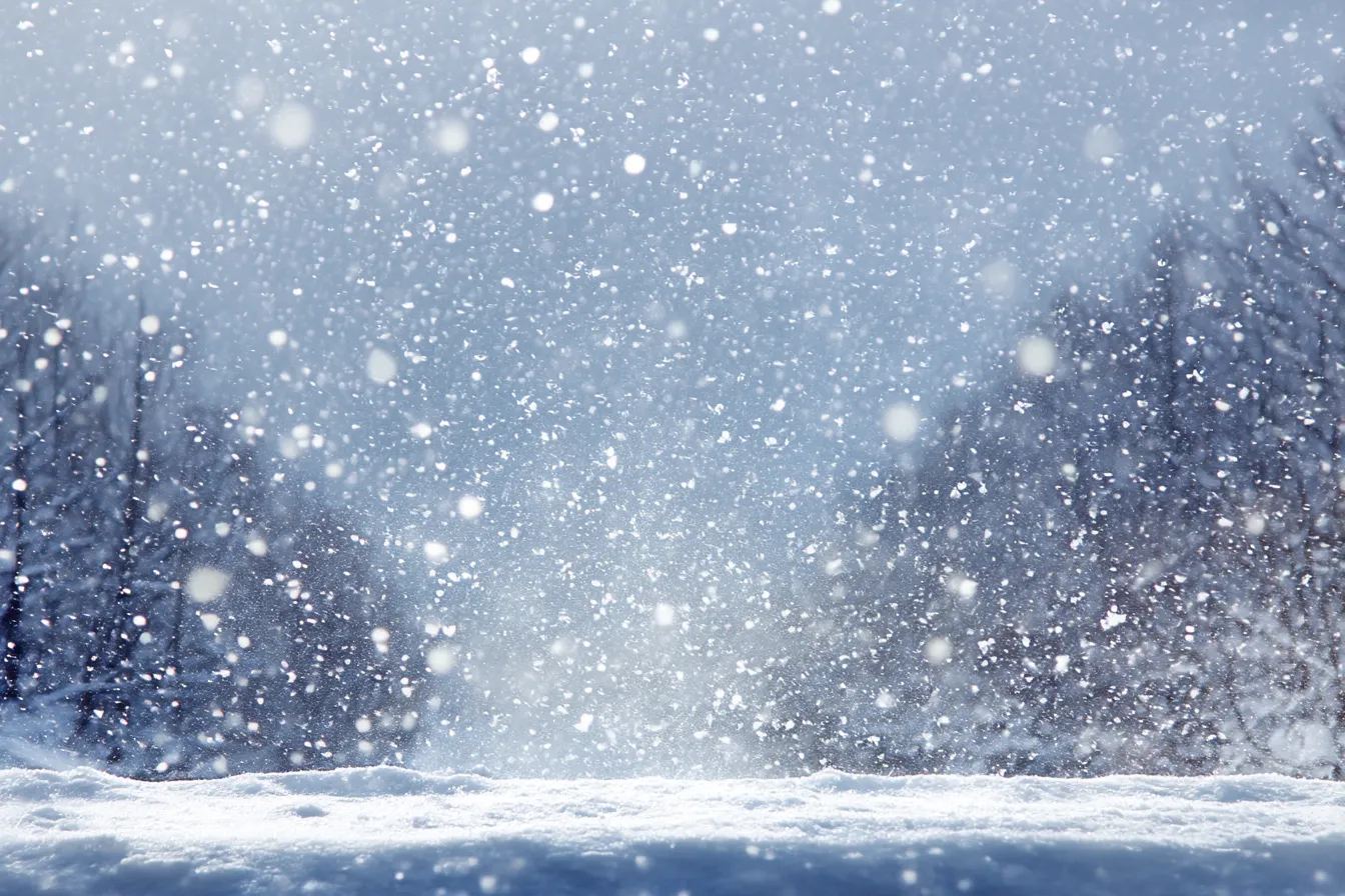 雪背景×林とふんわりした降雪｜林の前景に柔らかく降り積もる雪が描かれた、ナチュラルで温かみのある背景。光を受けて舞う雪が柔らかな印象を与え、詩的な冬の情景として使えます。