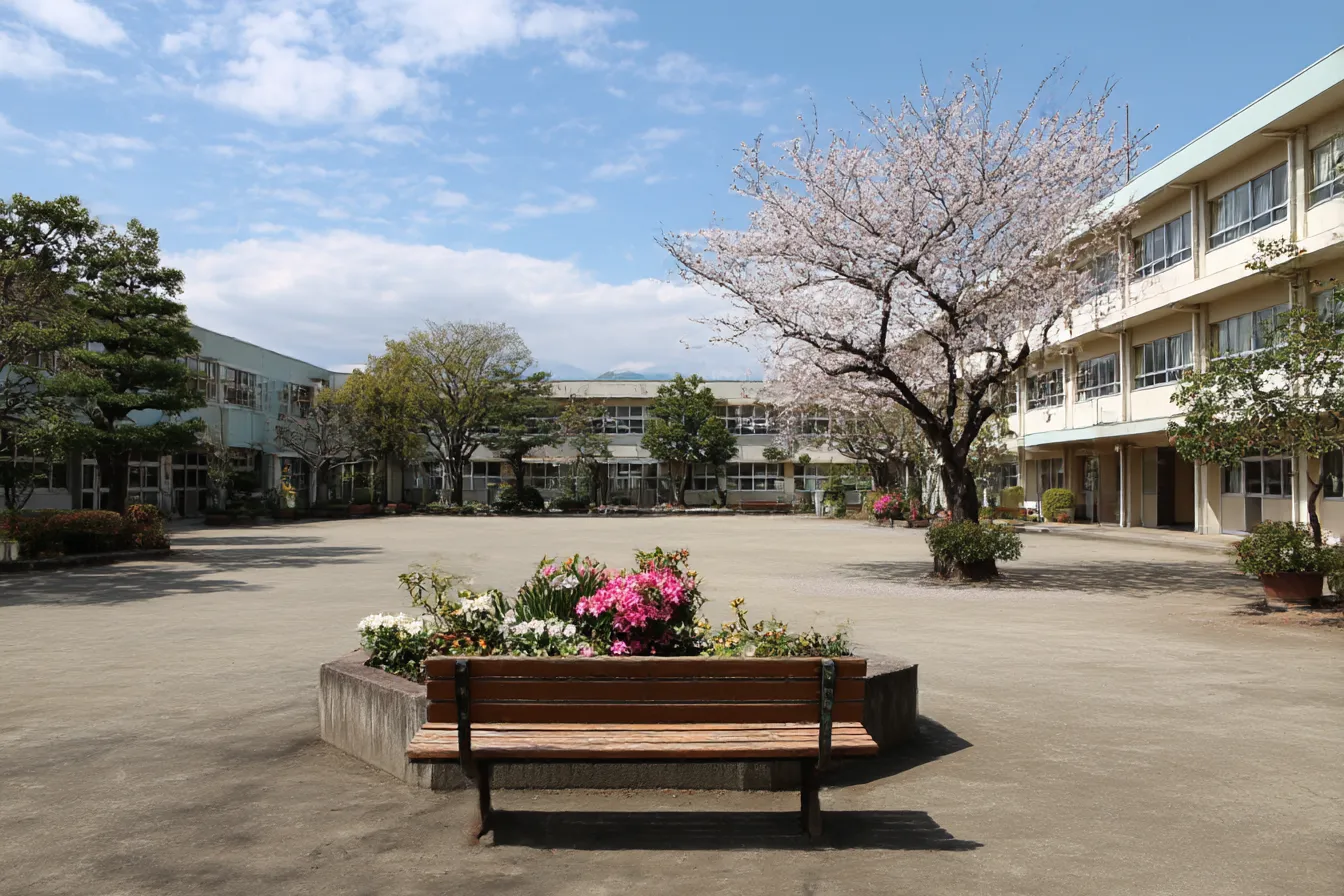中庭と桜の学校背景｜咲き誇る桜と中庭のベンチが描かれた学校背景。春らしい暖かさと静けさがあり、出会いや別れ、思い出を象徴する感情的な演出に最適。