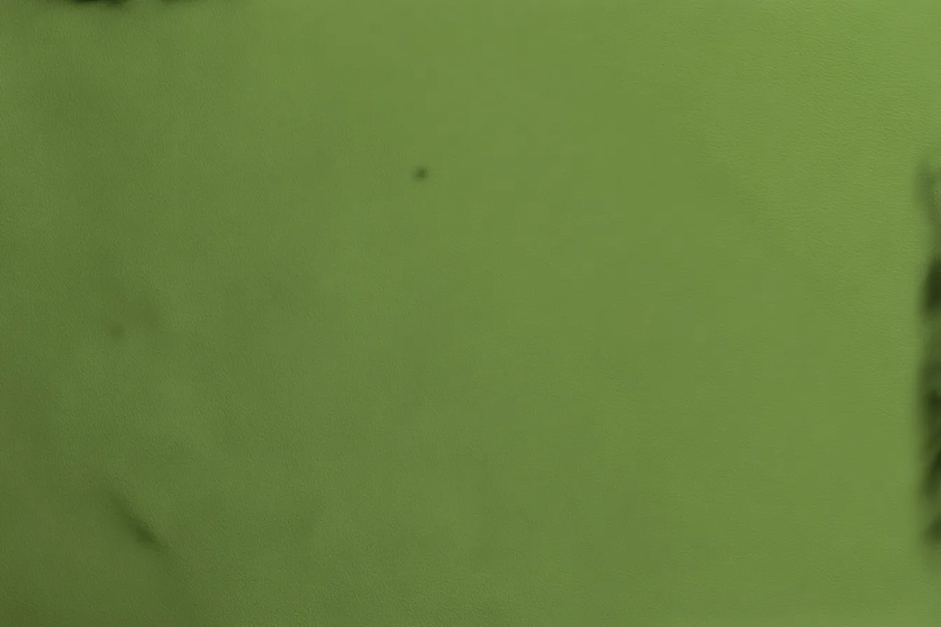 モスグリーン背景・自然光ラフグラウンド｜やわらかい光の影が加わった、自然な表情のモスグリーン背景。芝生や葉陰を思わせるやさしさと、手ざわり感のある温もりが魅力。