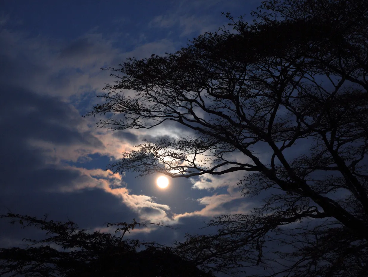 エモい夜の月明かり写真｜雲間から差し込む月光が印象的なエモい夜の風景です。幻想的な光と影のコントラストは、演出効果を重視するクリエイティブ制作に向いています。