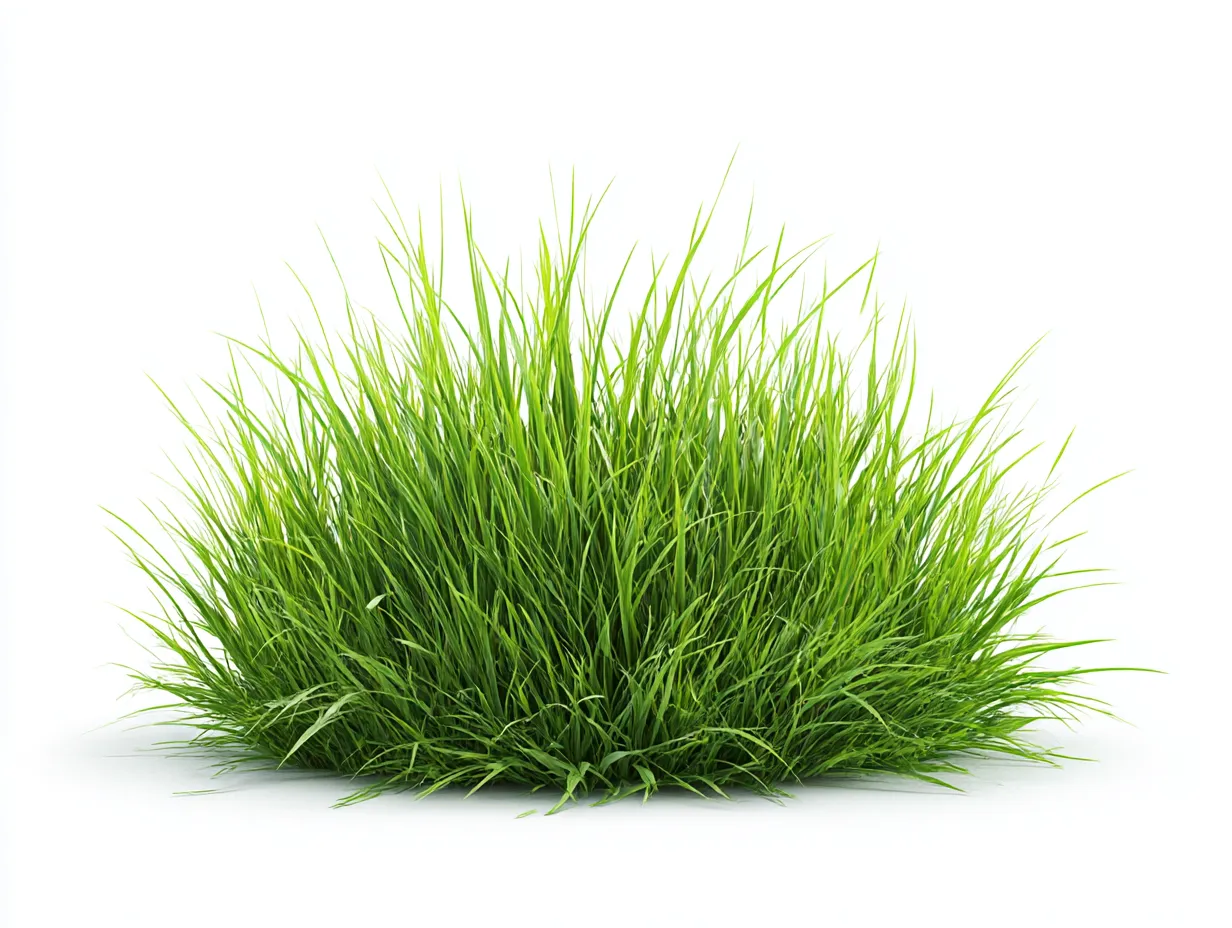 茂る草の群れ｜鮮やかな緑に満ちた草が集まって生い茂る写真。まるで大草原の一部のように、広がる草が自然の力強さと広がりを表現しています。