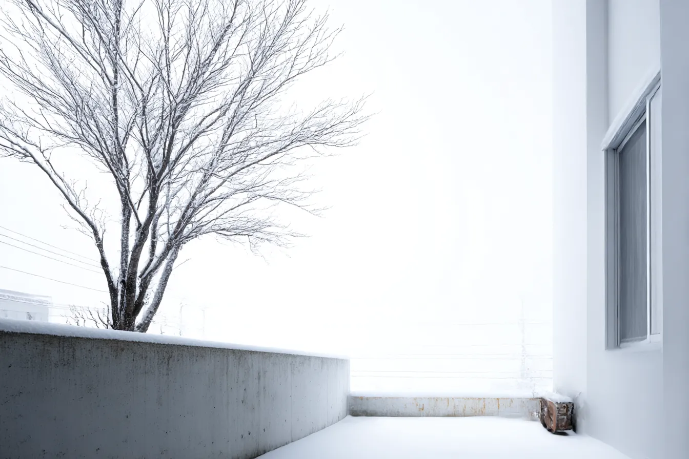 白背景の雪化粧バルコニー｜静寂な雪景色が広がる構成。白背景により、一本の木とコンクリートが持つ素材感が強調され、冷たくも美しい無機質の美を伝える。