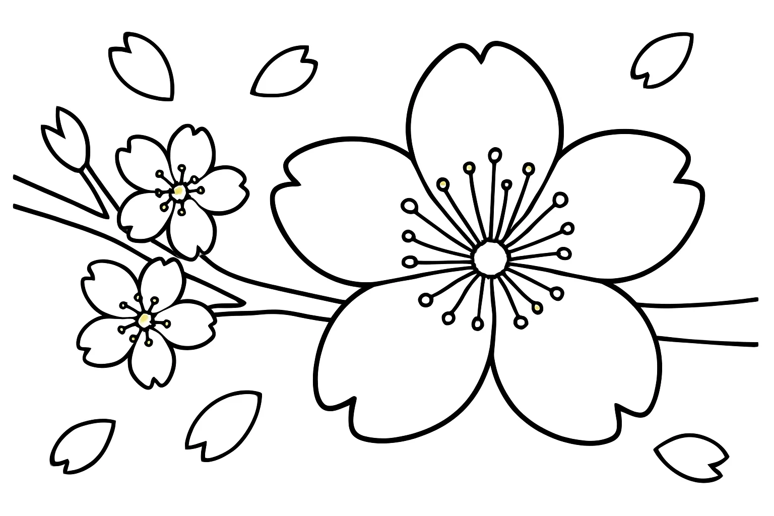 塗り絵の桜３　｜大きく手前に咲く桜の花をクローズアップした構図で、花びらの形や重なりを丁寧に塗れる塗り絵です。細部に集中できる題材です。