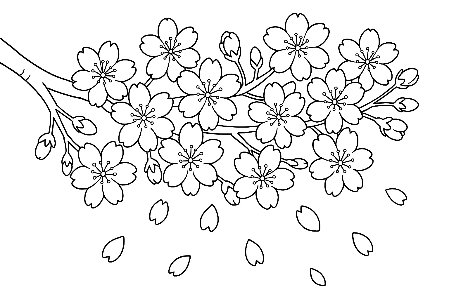 塗り絵春：枝ぶりと花びら｜横長構図に枝いっぱいに咲いた桜の花を描いた塗り絵です。輪郭線のみで花びらの形をわかりやすく整理しており、春らしさを感じながら細かく塗る楽しさも味わえます。