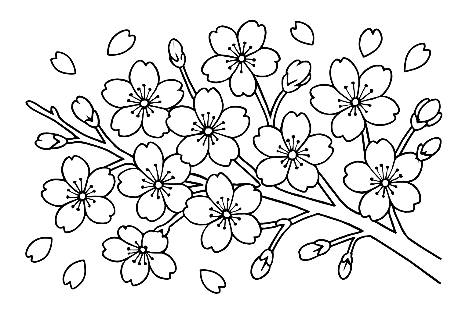 塗り絵春：舞い散る花びら｜風に乗って舞い散る桜の花びらをモチーフにした、動きのある構図の塗り絵です。空白を活かした背景で自由な発想での着色を促し、春の情景表現にもつながります。