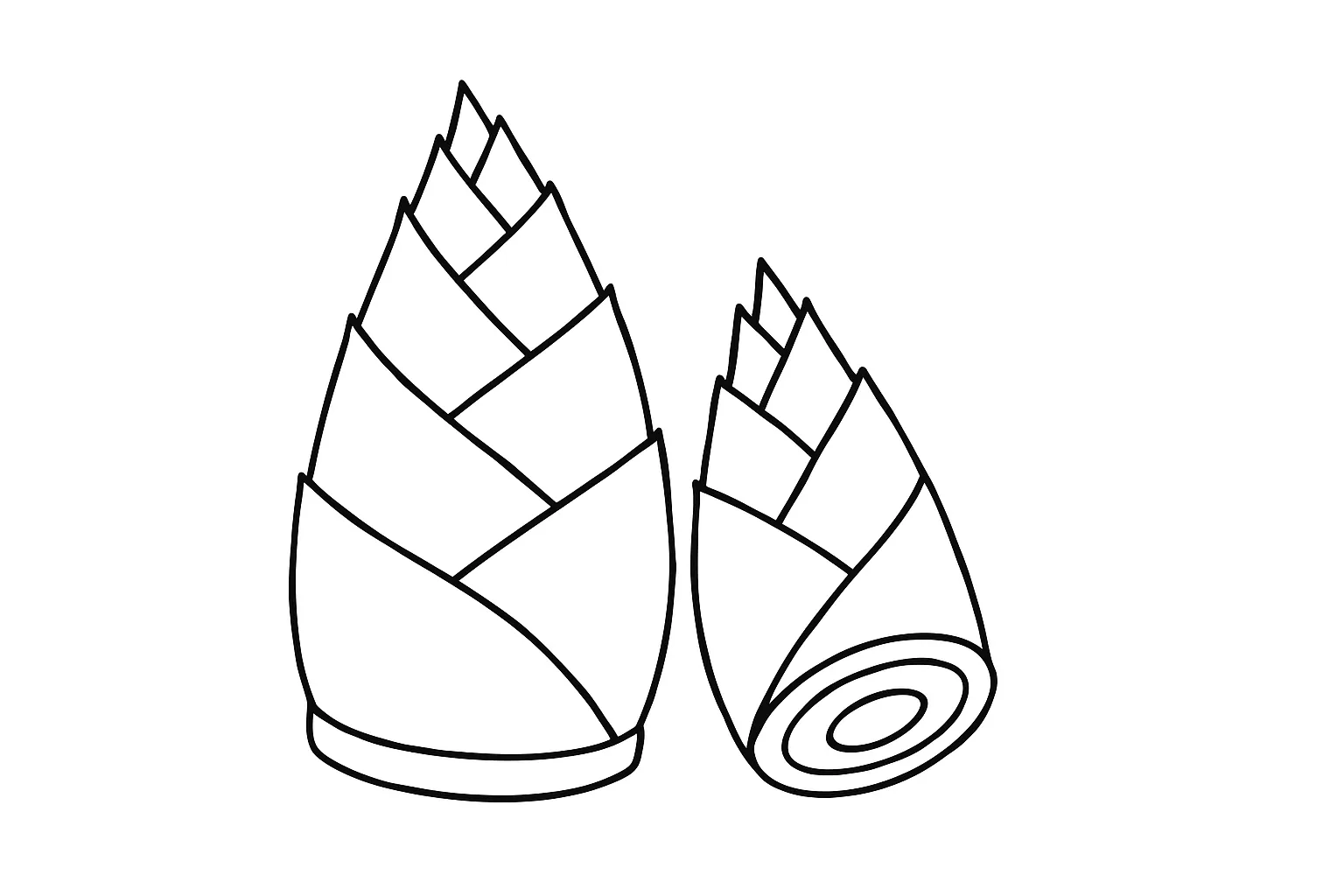 5月の塗り絵：たけのこ｜5月の旬であるたけのこを中心に描いた塗り絵です。殻の線や断面の描写を丁寧に仕上げ、観察力や食育の導入としても活用できます。