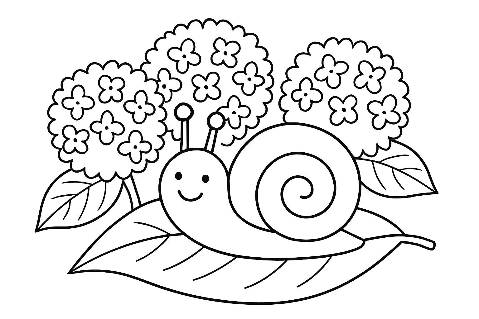 6月の塗り絵：かたつむりと葉っぱ｜梅雨らしいしっとりした風景を表現するため、大きな葉の上をのんびり進むかたつむりを描きました。やさしい曲線が子どもにも塗りやすく、季節感を楽しめます。