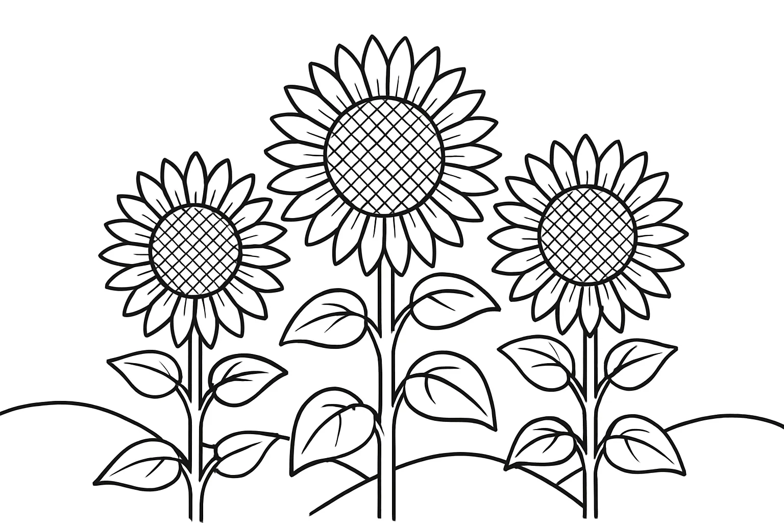 ひまわりの塗り絵：並んだひまわり畑｜横に並んだ複数のひまわりが畑のように広がる風景です。大中小の花がリズミカルに配置されており、奥行きのある季節感が表現できます。