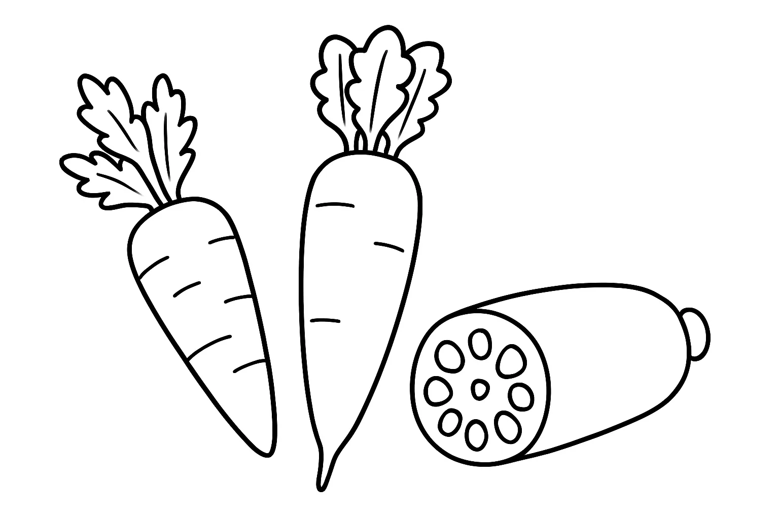 野菜の塗り絵：にんじん・だいこん・れんこん｜にんじん、だいこん、れんこんの根菜3種を並べた塗り絵です。切り口も描かれていて、断面の形にも注目できる構成です。身近な食材を観察するきっかけになります。