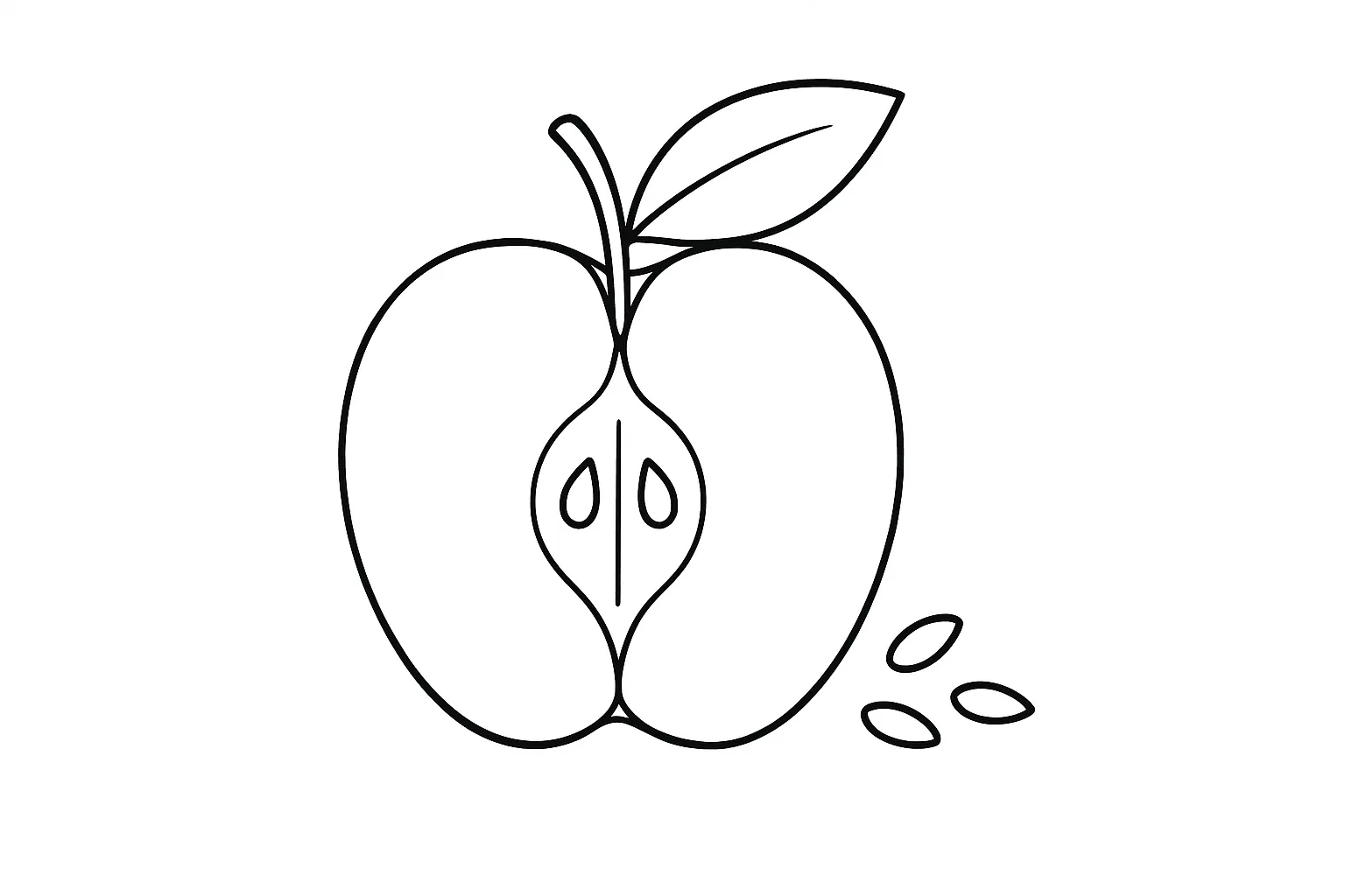 りんごの塗り絵：りんごの断面と種｜縦に切った断面のりんごと、並んだ種や芯の部分もわかりやすく描かれた塗り絵です。食材のしくみに興味を持つきっかけとしても活用できます。