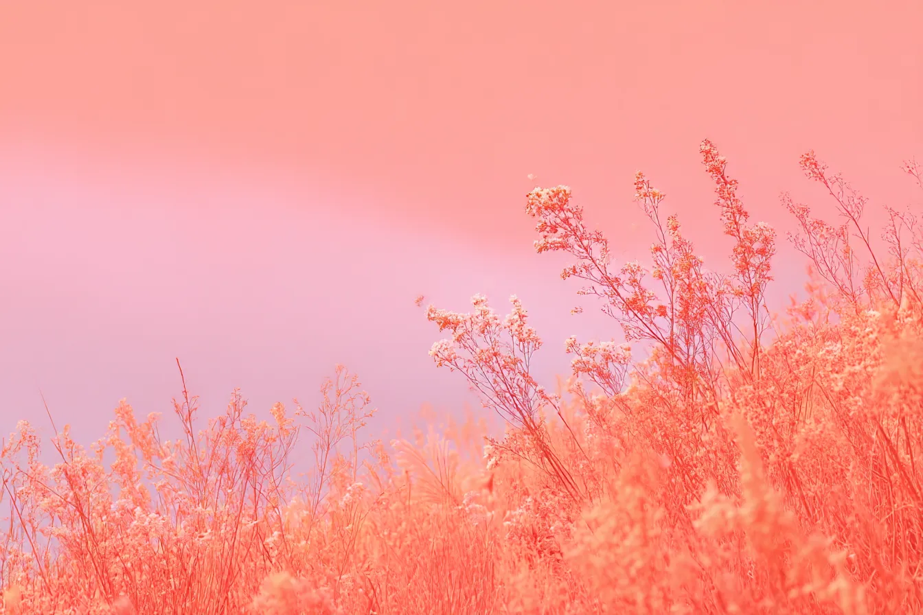 ピンク背景に揺れる草原の花｜暖かみのある色調で表現された草原の花々が印象的。柔らかな光に包まれた構図で、ピンク背景が春の陽だまりのような優しい空気を醸し出している。