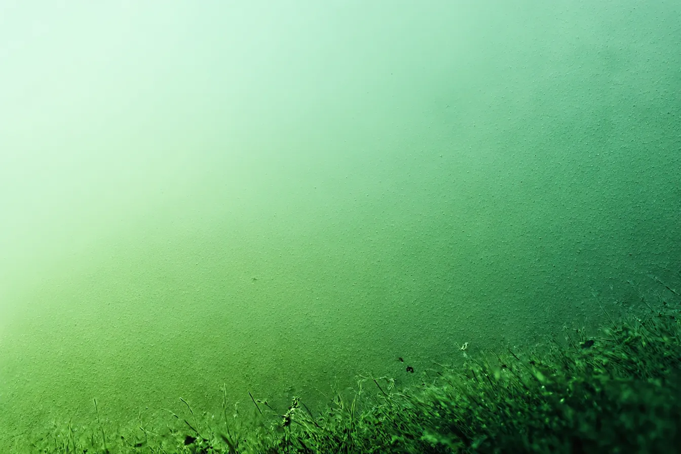 緑背景と草原のグラデーション｜下部に広がる草むらが徐々に淡くなる構成で、シンプルながらも緑背景が心地よい奥行きを生み出しています。