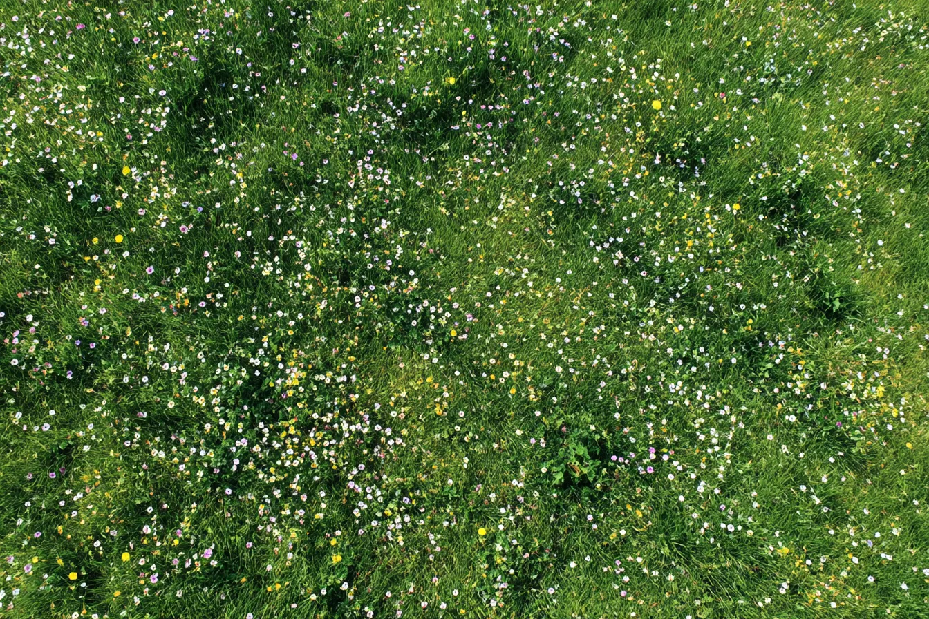 ドット模様の草原と花々の背景｜鮮やかな草原と色とりどりの花が広がり、空に浮かぶドット模様がさらにその美しさを引き立てます。花々と草の色彩に、ドット模様が溶け込むことで、温かみと穏やかさを感じさせる背景です。