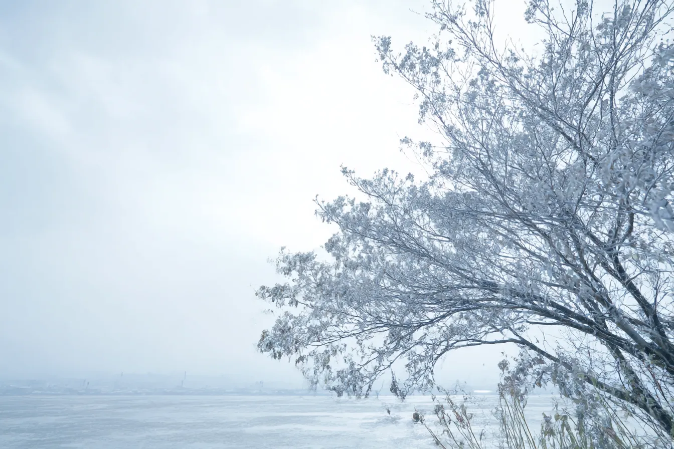 白の背景に揺れる川辺の枝｜木々の枝越しに広がる川と遠景が柔らかく描かれ、静けさが漂う一枚。全体を包む白の背景が冷たさの中に穏やかさを宿す。