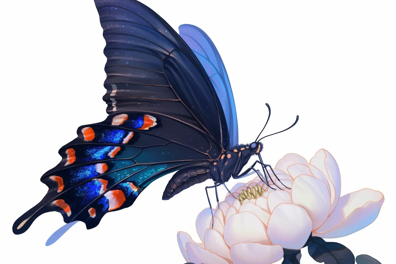 白花にとまる黒い蝶々の絵｜白い花にとまる黒い蝶々を細密に描いたリアル寄りのイラスト。鮮やかな羽の模様が印象的で、自然や環境テーマの広告や商品イメージに適した高級感ある蝶々の絵です。