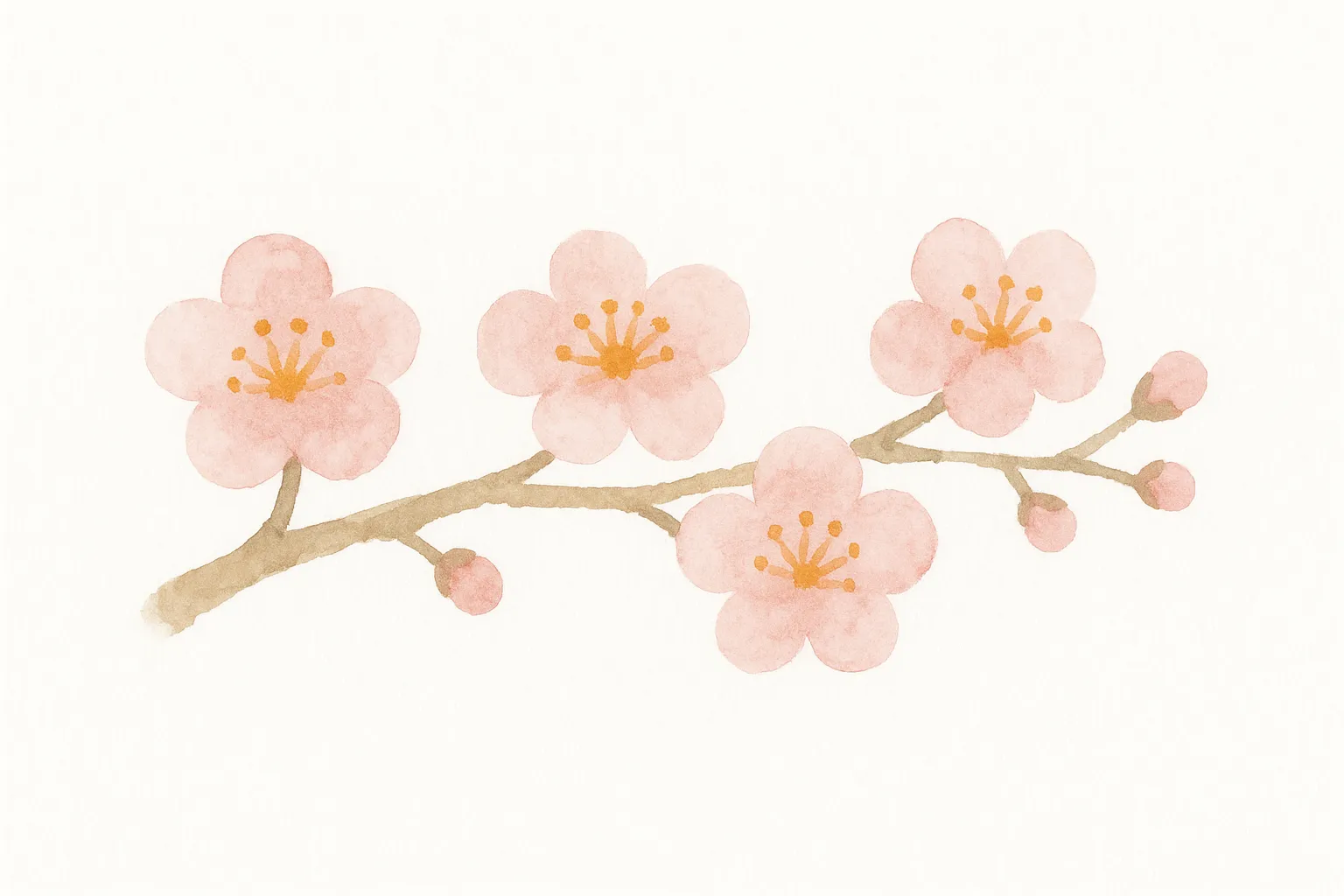 お正月の花水彩風の桜の枝｜水彩タッチで描かれた桜の枝が柔らかく表現されています。淡い色彩が上品で、お正月の花を落ち着いた雰囲気で表現する写真素材に適しています。