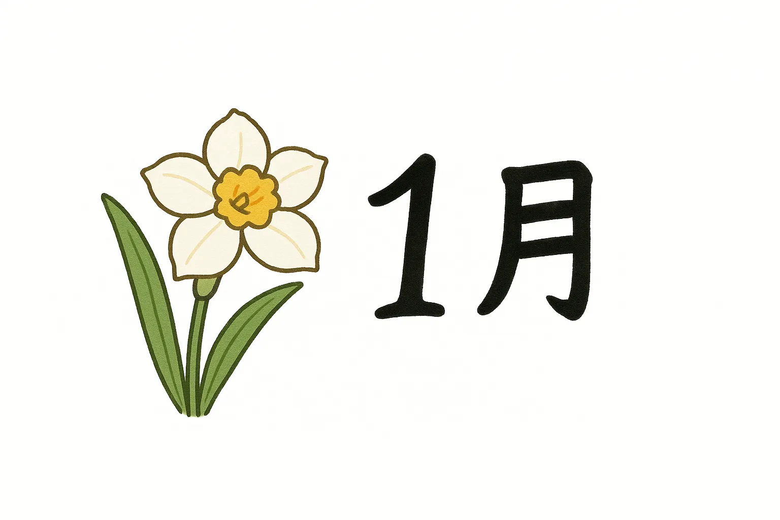 1月の花とスイセンの素材｜白と黄色のスイセンが文字と並んだ清楚なデザインです。柔らかな線と控えめな彩色が1月の花を爽やかに引き立てます。新春の爽快感を伝えるビジネスシーンで効果的に活用できます。