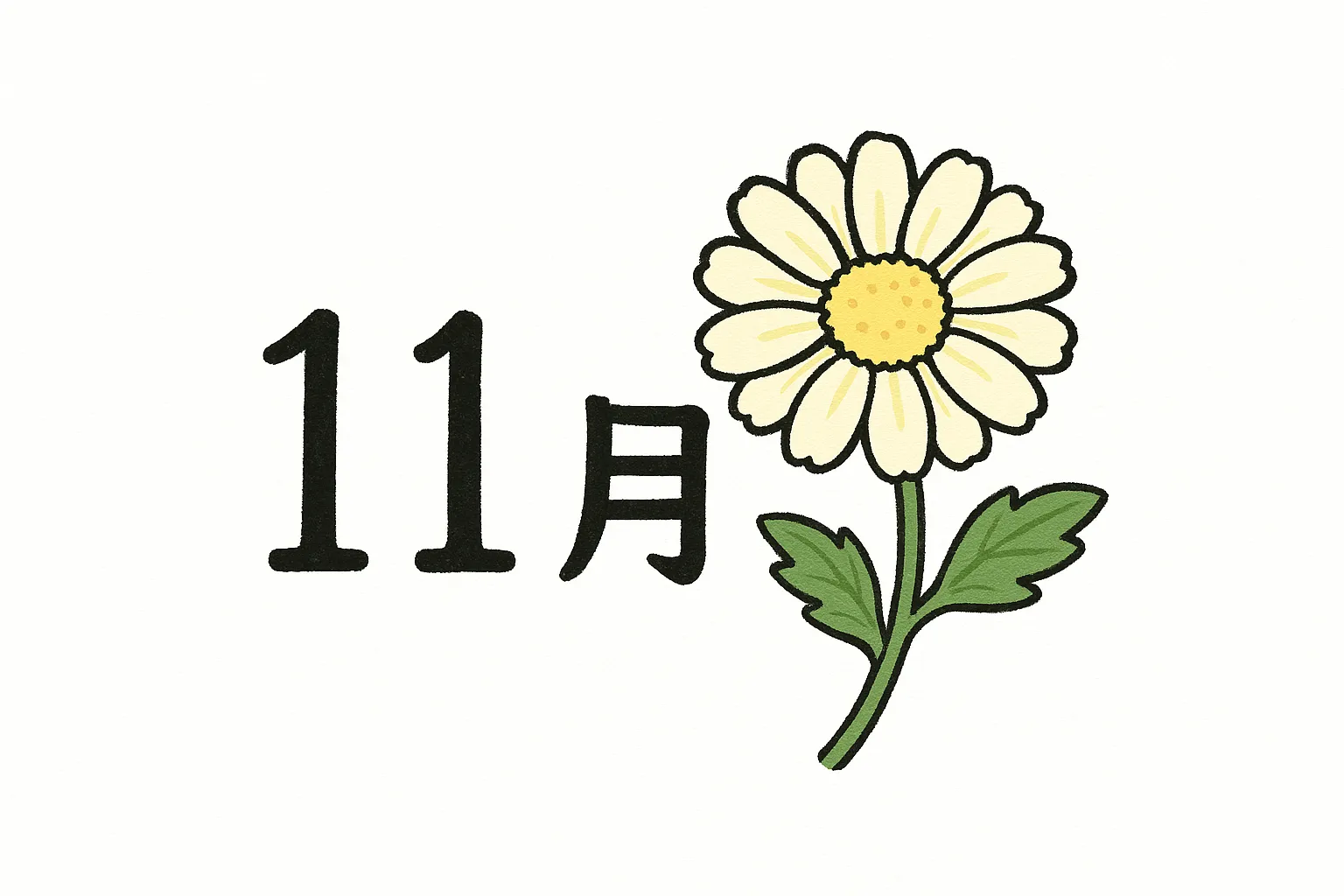 11月の花シンプルな菊のイラスト｜白い花びらが清楚な雰囲気を伝える構成です。明快な線と落ち着いた彩色が特徴で、11月の花を柔らかく表現しています。資料や季節の便りに使いやすい写真素材です。