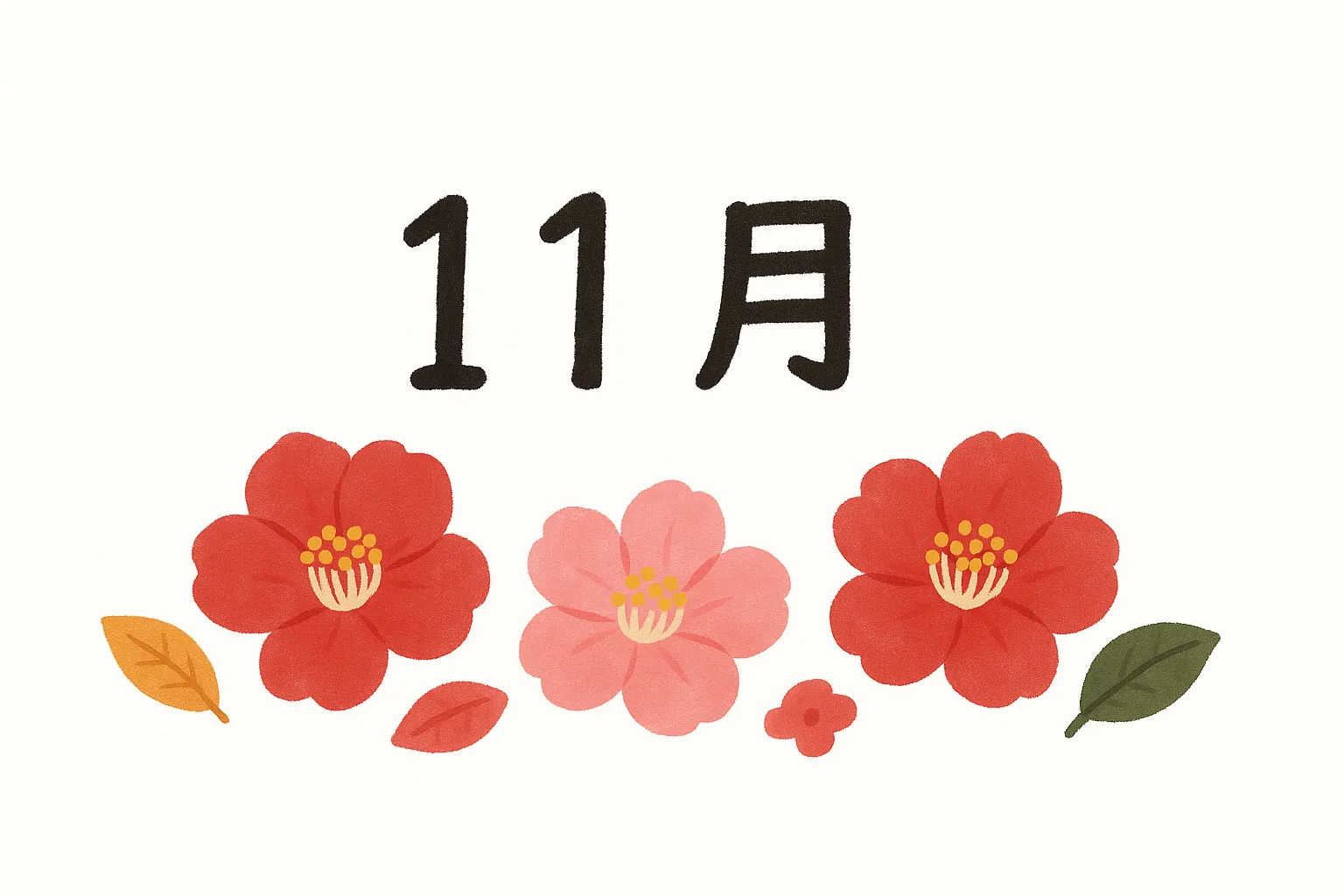 11月の花椿と紅葉のイラスト｜赤やピンクの椿が鮮やかに配置されたデザインです。温かみのある彩色が映え、11月の花として秋冬の彩りを引き立てます。販促や装飾に最適な素材です。