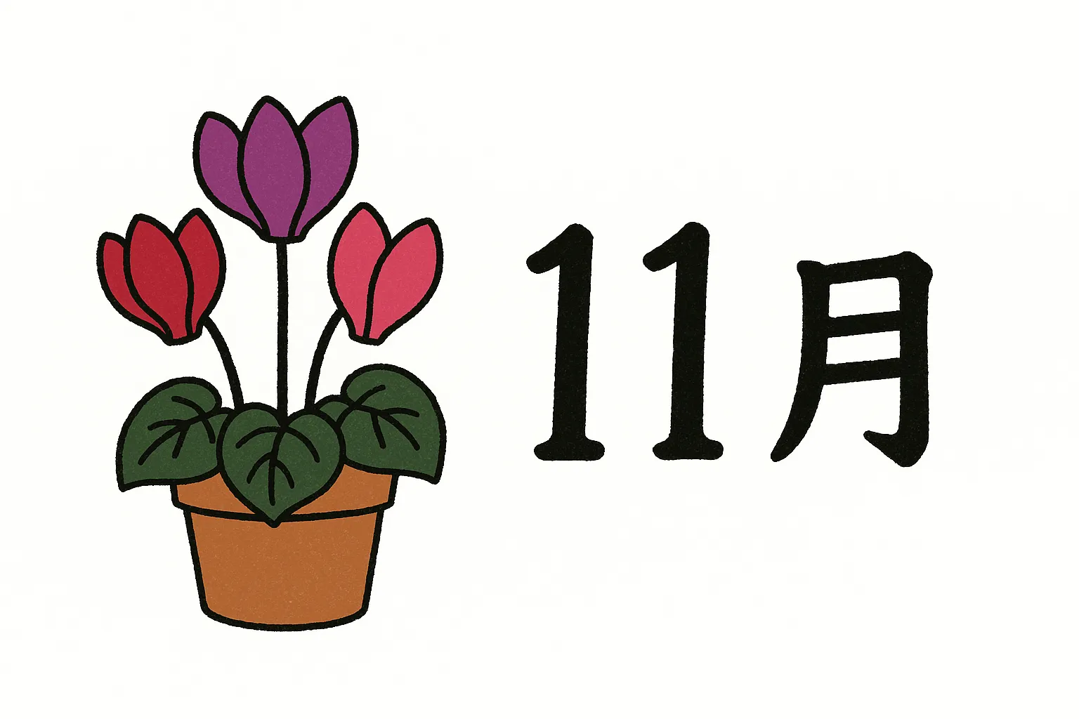 11月の花鉢植えシクラメンのイラスト｜鉢植えに咲くシクラメンを鮮やかに描いたデザインです。鮮明な色彩とシンプルな形状で、11月の花の華やかさを伝えます。室内装飾や商品紹介に効果的な素材です。