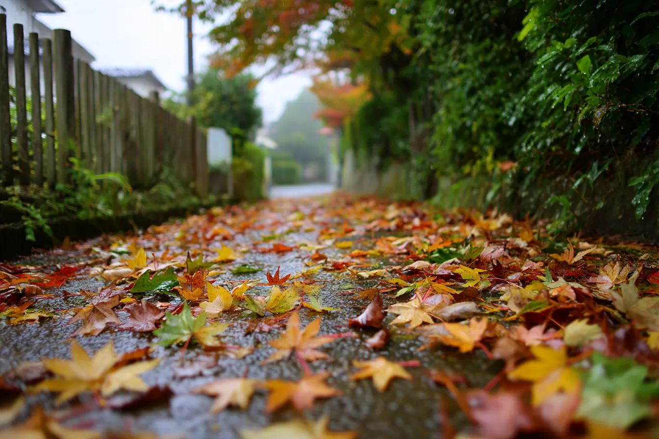 秋雨・写真に映る濡れた落ち葉の道｜小道に広がる色とりどりの落ち葉が濡れて輝く。遠近感を生かした構図で、秋雨の日の生活感と懐かしさがにじむ、ナチュラルな写真スタイル。