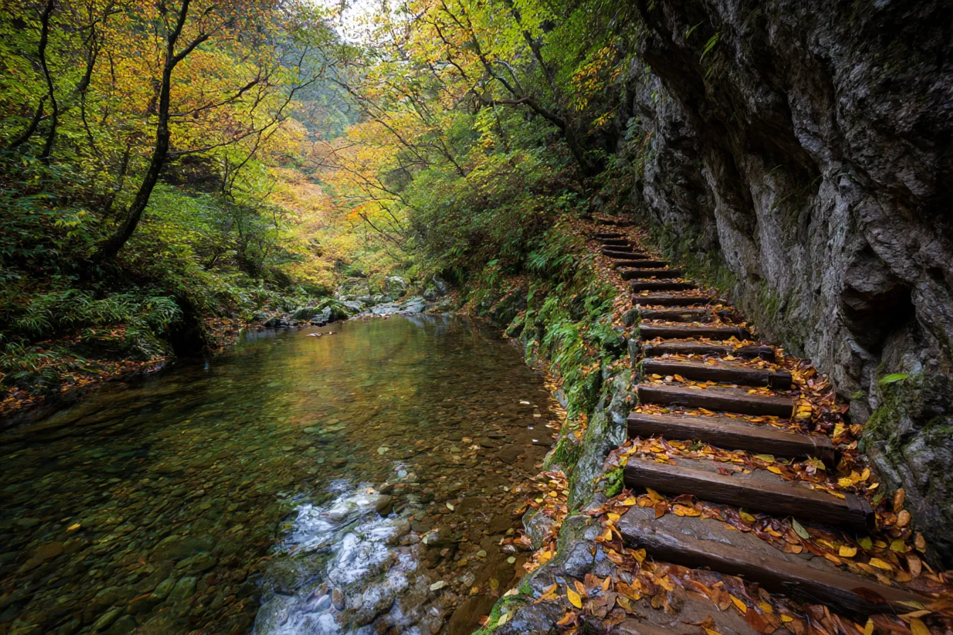 渓流と木道の秋の山写真｜山間を流れる清流と苔むす木道が印象的な秋の山の写真。黄葉と緑が混ざり合う静かな空間に、歩く音まで想像させるような温もりある描写です。