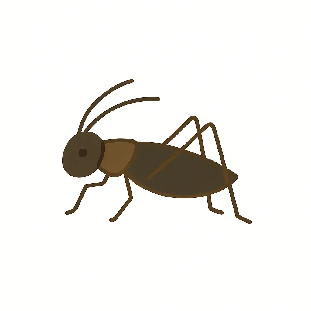 秋の虫 コオロギのシンプルイラスト｜シンプルな線と色面で描かれた「秋の虫 コオロギ」のイラスト。無駄のないミニマルな造形で、落ち着いたブラウンの配色が秋らしい雰囲気を演出する図鑑風のスタイル。