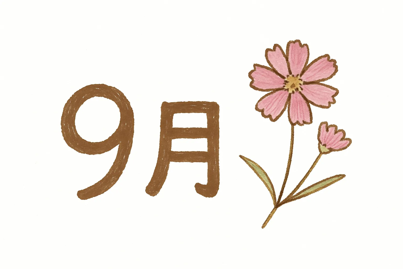 9月花×コスモスのやさしい手描き風｜ふんわりと咲くピンクのコスモスが寄り添う、手描き風の「9月」イラスト。茶色の文字とやさしい花の色合いが、秋の始まりの穏やかさと透明感を表現している。