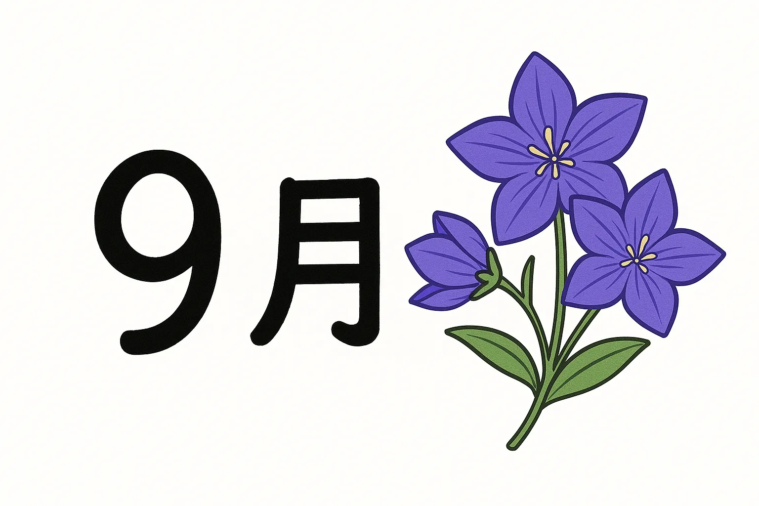 9月花×桔梗の彩りと整った構図｜鮮やかな紫の桔梗が映える9月の花デザイン。クリーンでしっかりとしたラインとシンメトリーな構図が、落ち着きと品のある印象を与える。