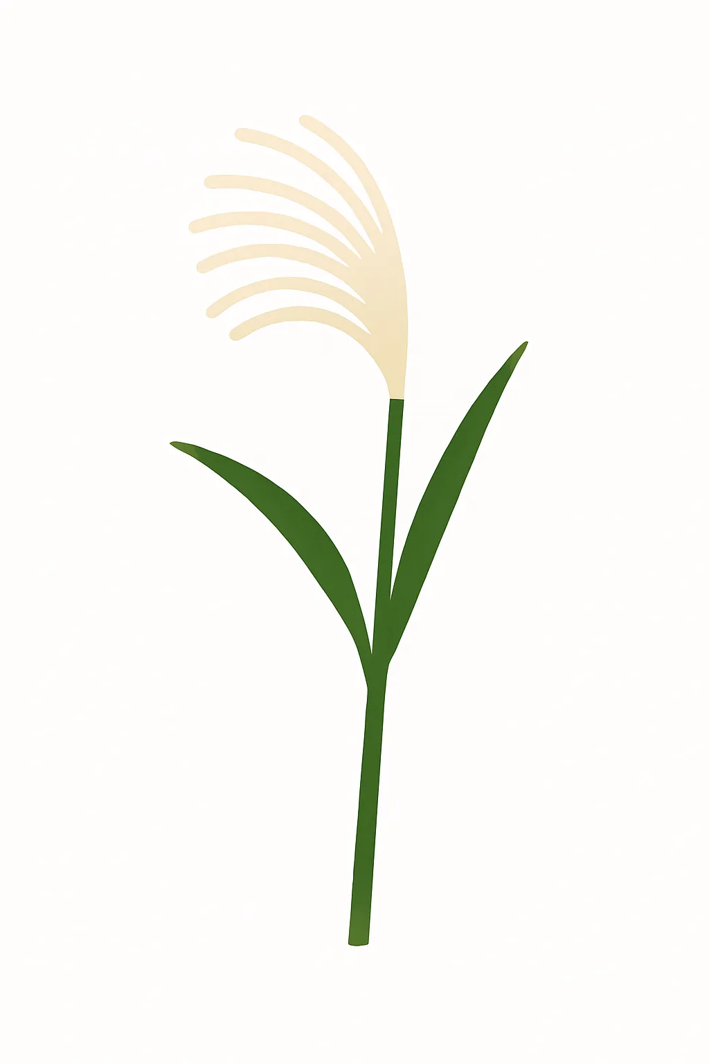 シンプルデザインのススキ｜細く長い茎から穂状に広がる白銀の花を描いた構成です。穂は斜めに揺れるような形で描かれ、秋風に揺れる風景を感じさせる柔らかなデザインです。