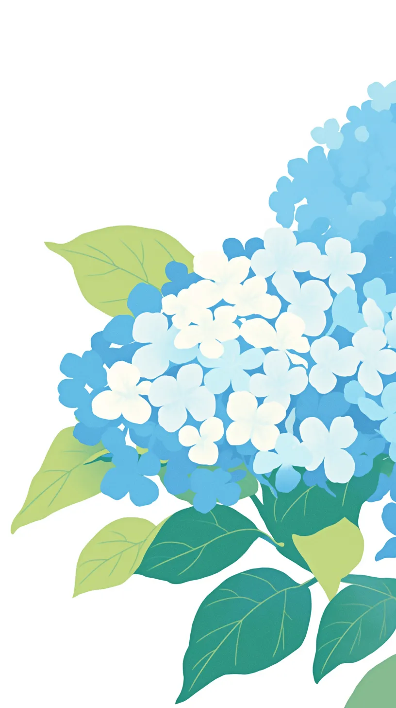 紫陽花壁紙の清涼な群花｜白から青へと移ろう花弁が束ねられた紫陽花の壁紙。単純化された形と広がる葉が、夏の涼やかさを強調する。