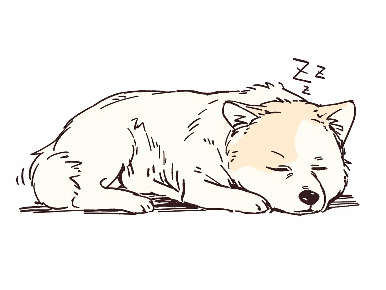 柴犬が丸くなって寝る姿｜優しいブラウンの毛色とシンプルな線画で、安心して眠る柴犬の姿が描かれている。寝てる犬の表情は穏やかで、全体的に柔らかく落ち着いた雰囲気を持つイラスト。